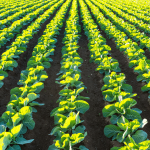 Cherry Hill Proposes Zoning Change for Farmland Preservation